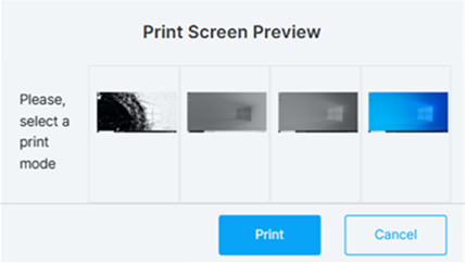 Print Screen Preview Print Screen Preview