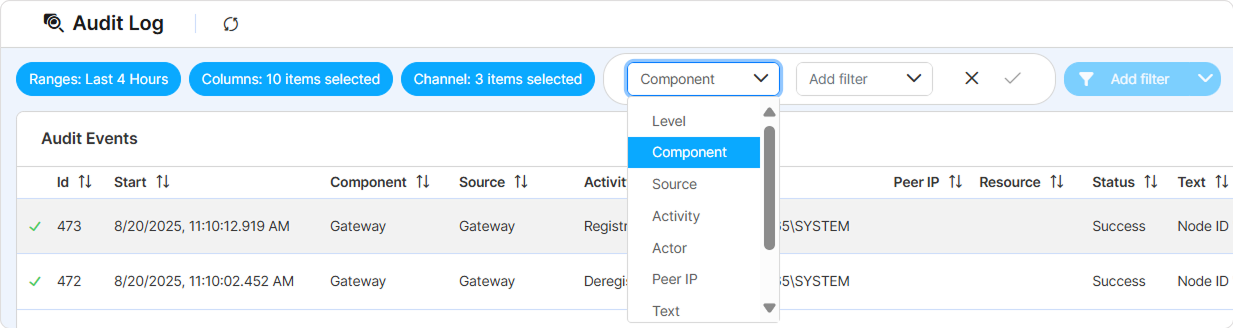 Audit Logs Filters