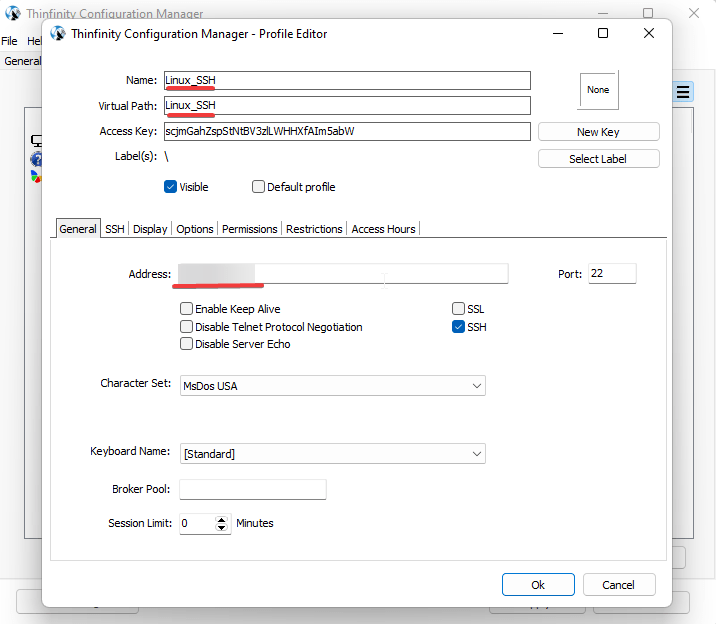 Create SSH connections from your browser using the Thinfinity Remote Workspace, step 02